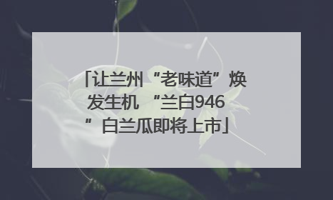 让兰州“老味道”焕发生机 “兰白946”白兰瓜即将上市