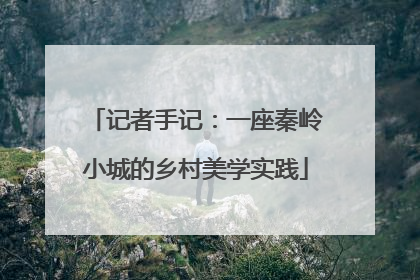 记者手记：一座秦岭小城的乡村美学实践