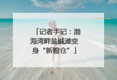 记者手记：渤海湾畔盐碱滩变身“新粮仓”