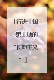 行进中国｜黑土地的“长期主义”