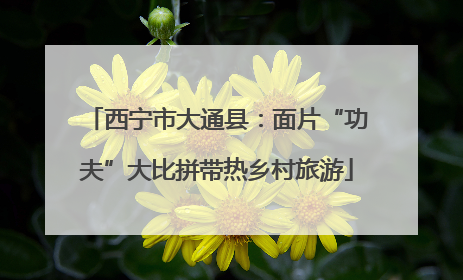 西宁市大通县：面片“功夫”大比拼带热乡村旅游