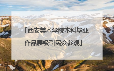 西安美术学院本科毕业作品展吸引民众参观