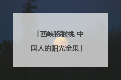 西峡猕猴桃 中国人的阳光金果