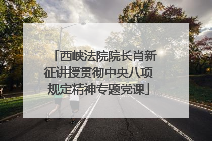 西峡法院院长肖新征讲授贯彻中央八项规定精神专题党课