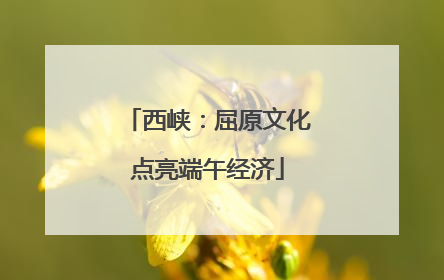 西峡：屈原文化点亮端午经济
