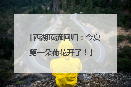 西湖顶流回归：今夏第一朵荷花开了！