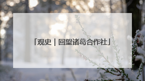 观史｜回望诸葛合作社