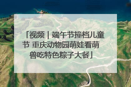 视频｜端午节撞档儿童节 重庆动物园萌娃看萌兽吃特色粽子大餐