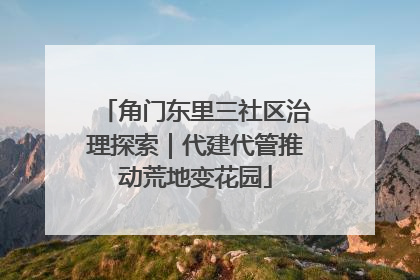 角门东里三社区治理探索｜代建代管推动荒地变花园