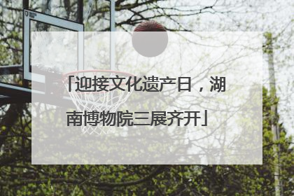 迎接文化遗产日，湖南博物院三展齐开