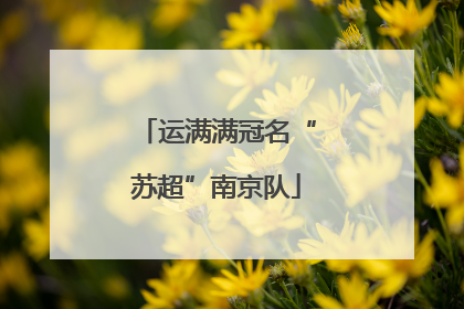 运满满冠名“苏超”南京队