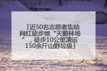 近50名志愿者集结网红徒步地“天鹅林场”，徒步10公里清运150余斤山野垃圾