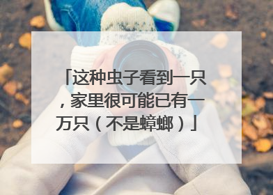 这种虫子看到一只，家里很可能已有一万只（不是蟑螂）