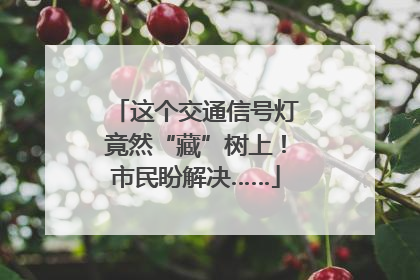 这个交通信号灯竟然“藏”树上！市民盼解决……