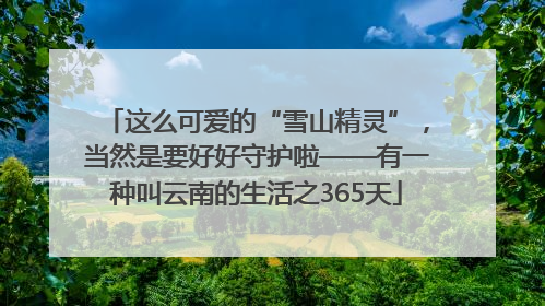 这么可爱的“雪山精灵”，当然是要好好守护啦——有一种叫云南的生活之365天