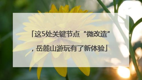 这5处关键节点“微改造”，岳麓山游玩有了新体验