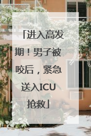 进入高发期！男子被咬后，紧急送入ICU抢救