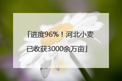 进度96%！河北小麦已收获3000余万亩