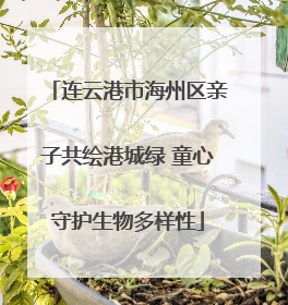 连云港市海州区亲子共绘港城绿 童心守护生物多样性