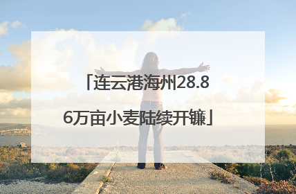 连云港海州28.86万亩小麦陆续开镰