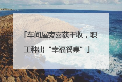 车间屋旁喜获丰收，职工种出“幸福餐桌”
