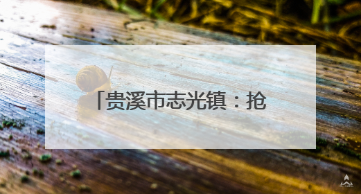 贵溪市志光镇：抢抓农时促丰收，科技赋能保粮安（图）