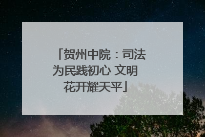 贺州中院：司法为民践初心 文明花开耀天平