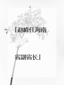 赵峰任海南省副省长