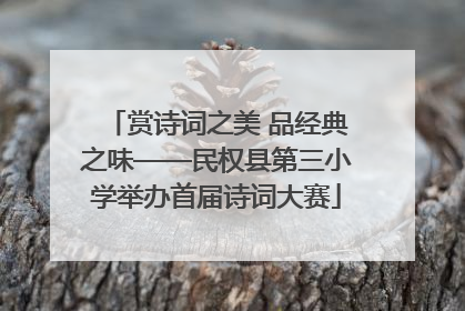 赏诗词之美 品经典之味——民权县第三小学举办首届诗词大赛