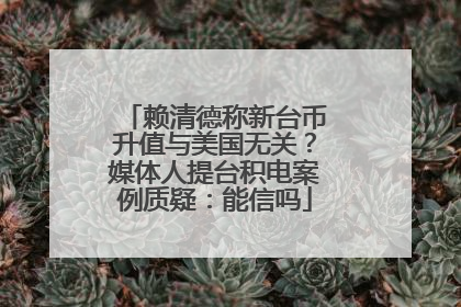 赖清德称新台币升值与美国无关？媒体人提台积电案例质疑：能信吗