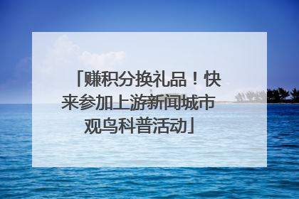 赚积分换礼品！快来参加上游新闻城市观鸟科普活动