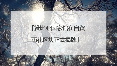 赞比亚国家馆在自贸雨花区块正式揭牌
