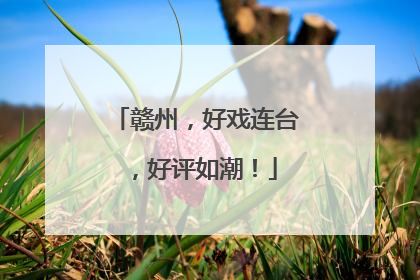 赣州，好戏连台，好评如潮！