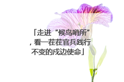 走进“候鸟哨所”，看一茬茬官兵践行不变的戍边使命