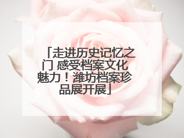 走进历史记忆之门 感受档案文化魅力！潍坊档案珍品展开展