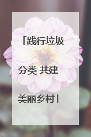 践行垃圾分类 共建美丽乡村