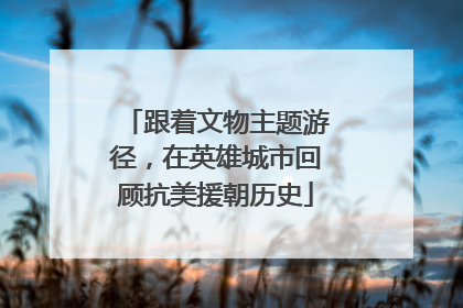 跟着文物主题游径，在英雄城市回顾抗美援朝历史