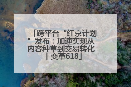 跨平台“红京计划”发布：加速实现从内容种草到交易转化丨变革618