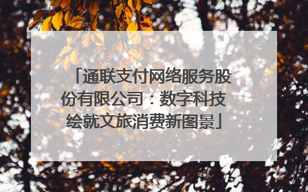 通联支付网络服务股份有限公司：数字科技绘就文旅消费新图景