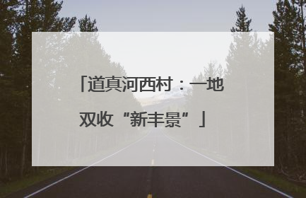 道真河西村：一地双收“新丰景”