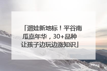 遛娃新地标！平谷南瓜嘉年华，30+品种让孩子边玩边涨知识