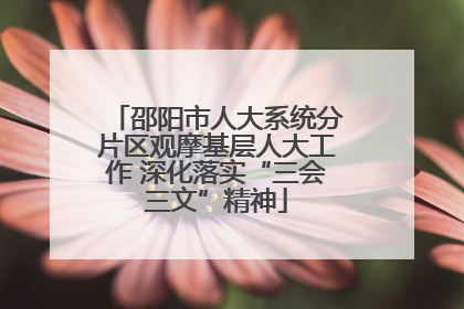 邵阳市人大系统分片区观摩基层人大工作 深化落实“三会三文”精神