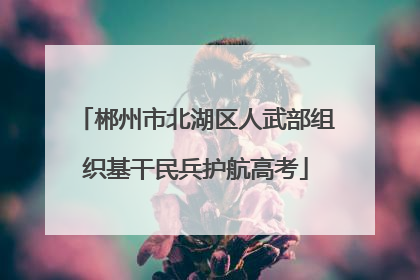 郴州市北湖区人武部组织基干民兵护航高考