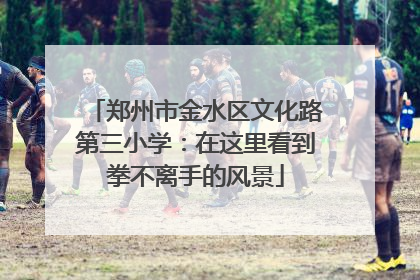 郑州市金水区文化路第三小学：在这里看到拳不离手的风景