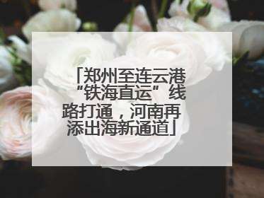 郑州至连云港“铁海直运”线路打通，河南再添出海新通道