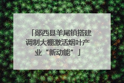郧西县羊尾镇搭建调制大棚激活烟叶产业“新动能”