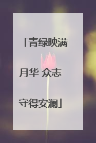青绿映满月华 众志守得安澜