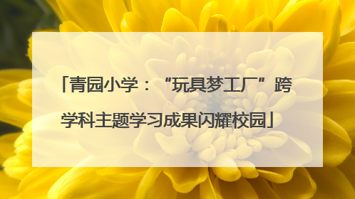 青园小学：“玩具梦工厂”跨学科主题学习成果闪耀校园