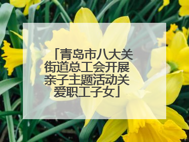 青岛市八大关街道总工会开展亲子主题活动关爱职工子女