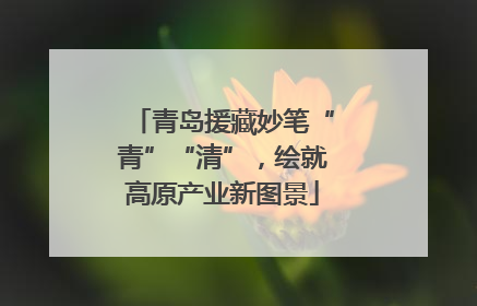 青岛援藏妙笔“青”“清”，绘就高原产业新图景